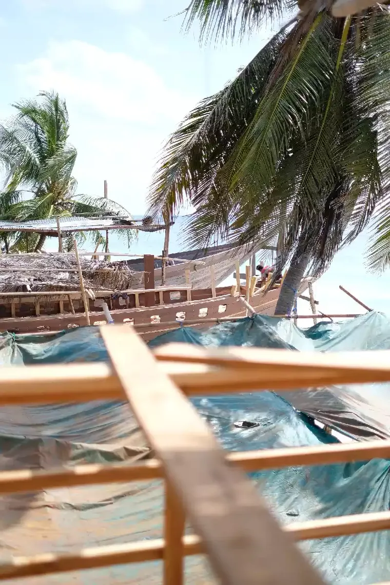 Wooden hull standing on the sand close to the waterline with palms overhead