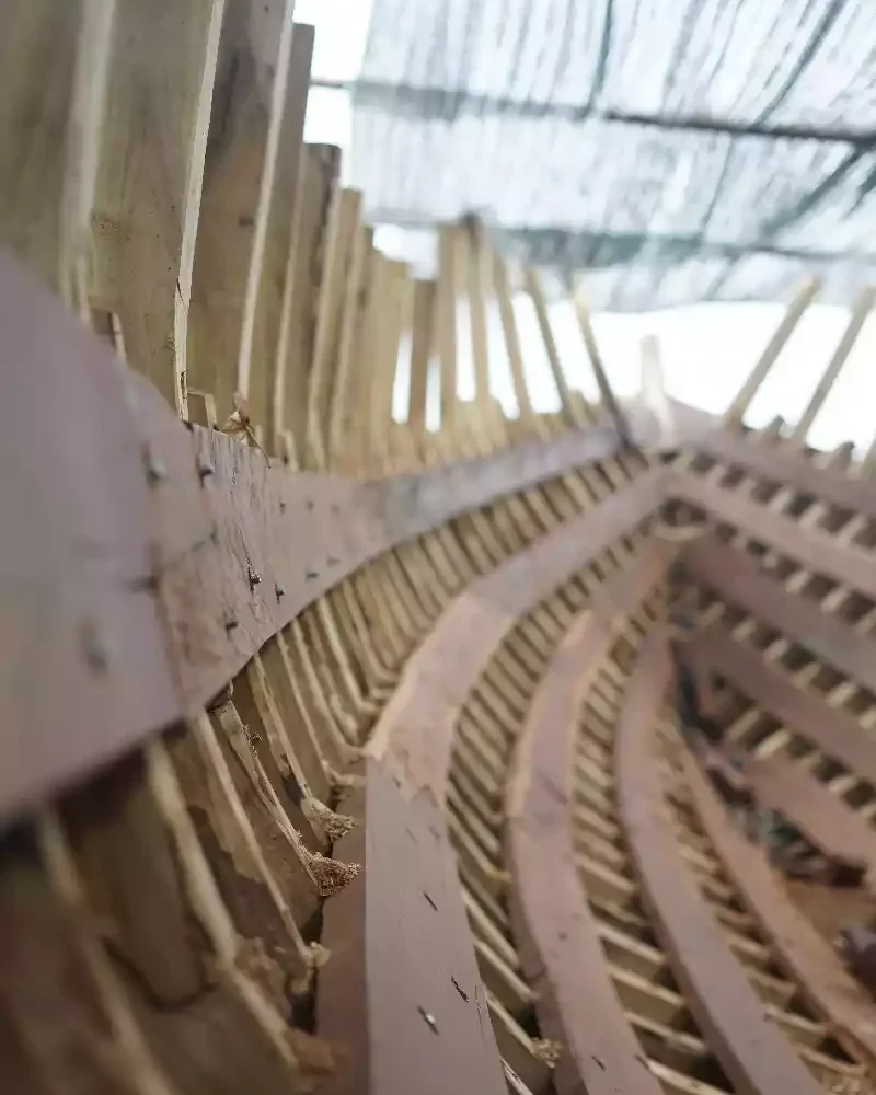 Row of wooden ribs fitted inside a part-planked hull, seen from within the shell